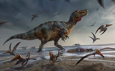 Illustration of a spinosaurus